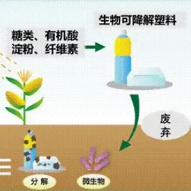 饱受争议的“可降解塑料”